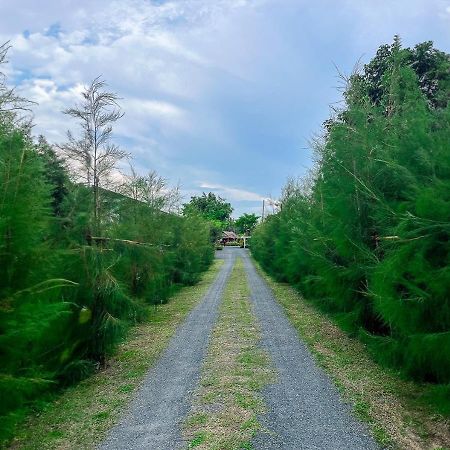 North Pine Forest Homestay บ้านไม้สนโฮมสเตย์ Ban Mae Pong Exteriör bild