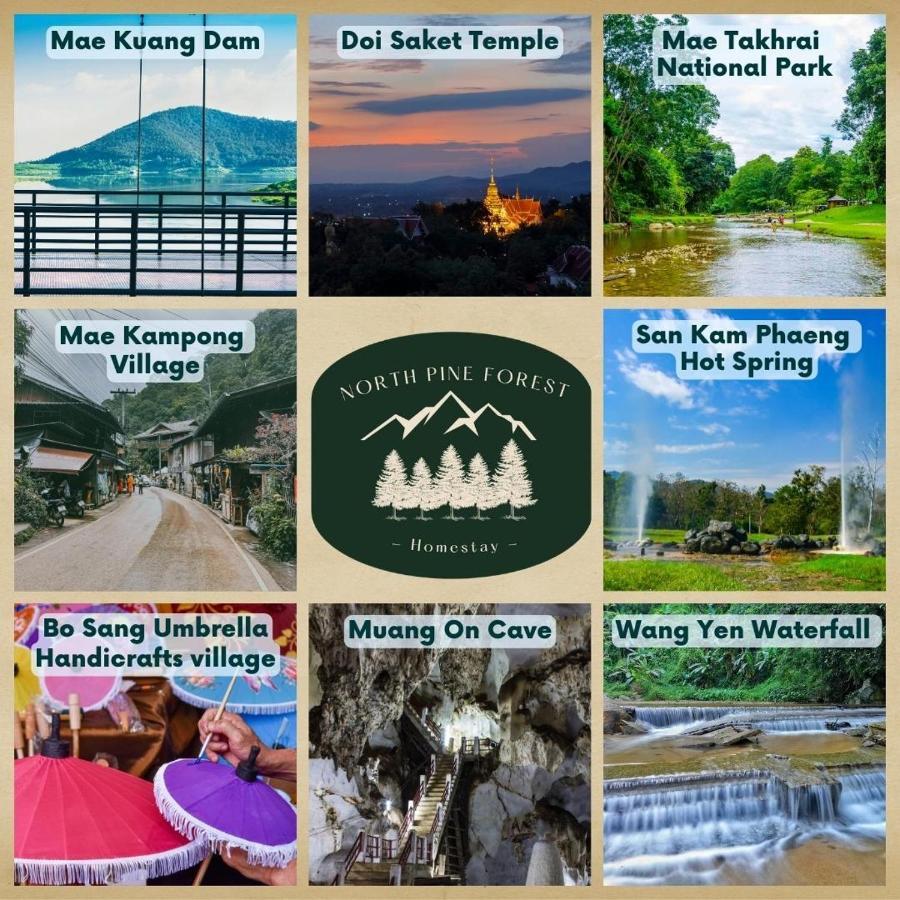 North Pine Forest Homestay บ้านไม้สนโฮมสเตย์ Ban Mae Pong Exteriör bild