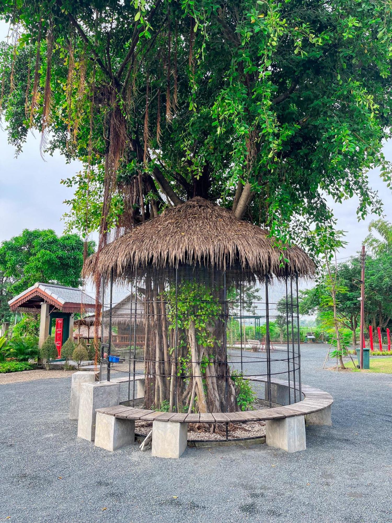 North Pine Forest Homestay บ้านไม้สนโฮมสเตย์ Ban Mae Pong Exteriör bild