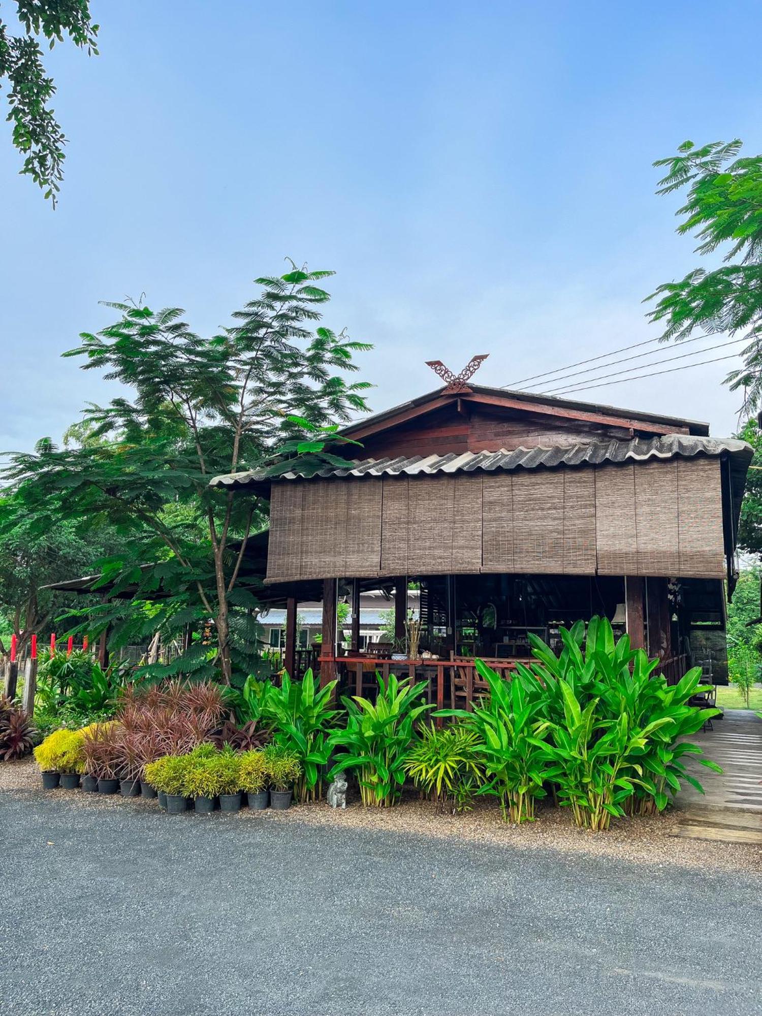 North Pine Forest Homestay บ้านไม้สนโฮมสเตย์ Ban Mae Pong Exteriör bild