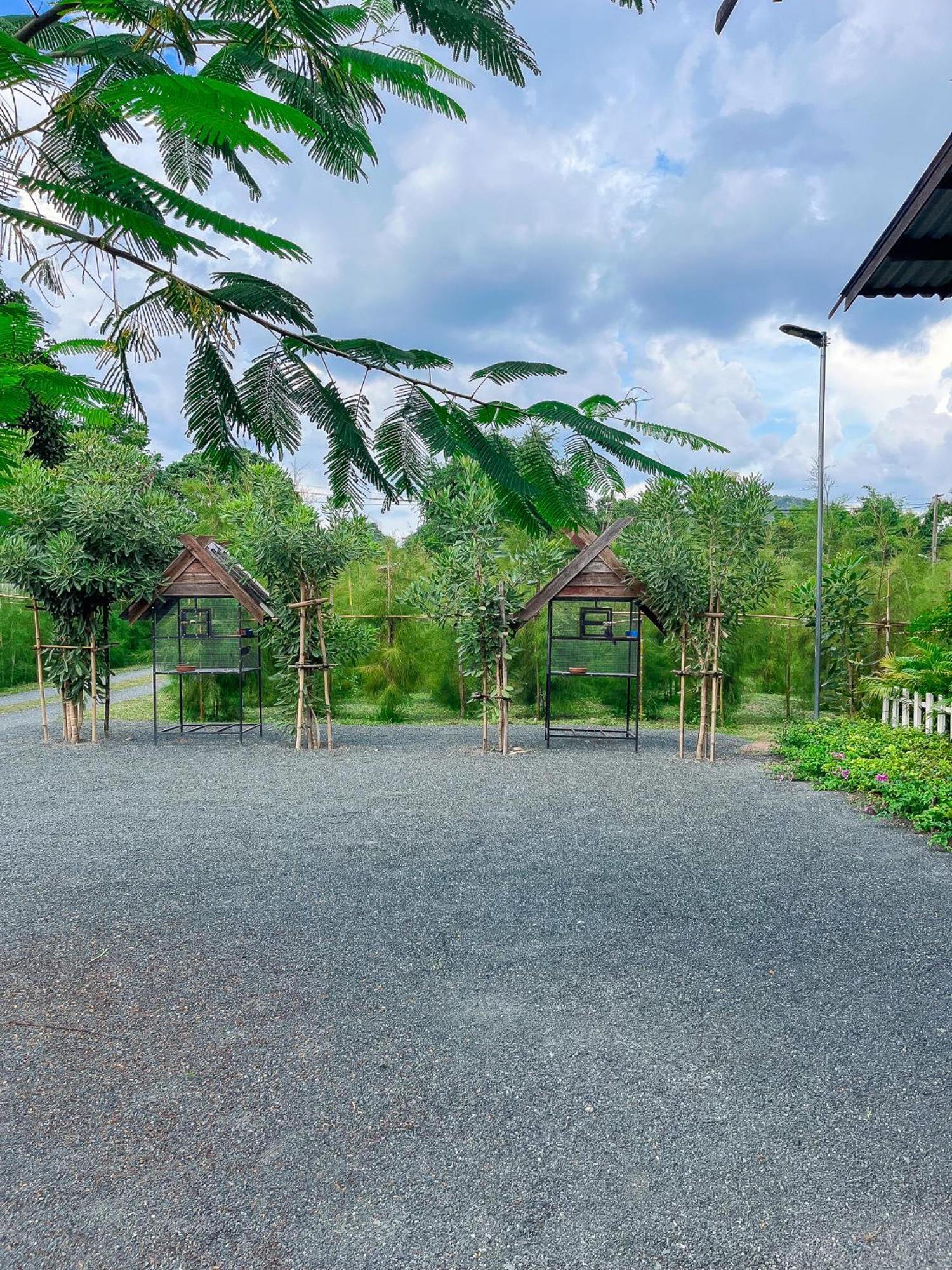 North Pine Forest Homestay บ้านไม้สนโฮมสเตย์ Ban Mae Pong Exteriör bild