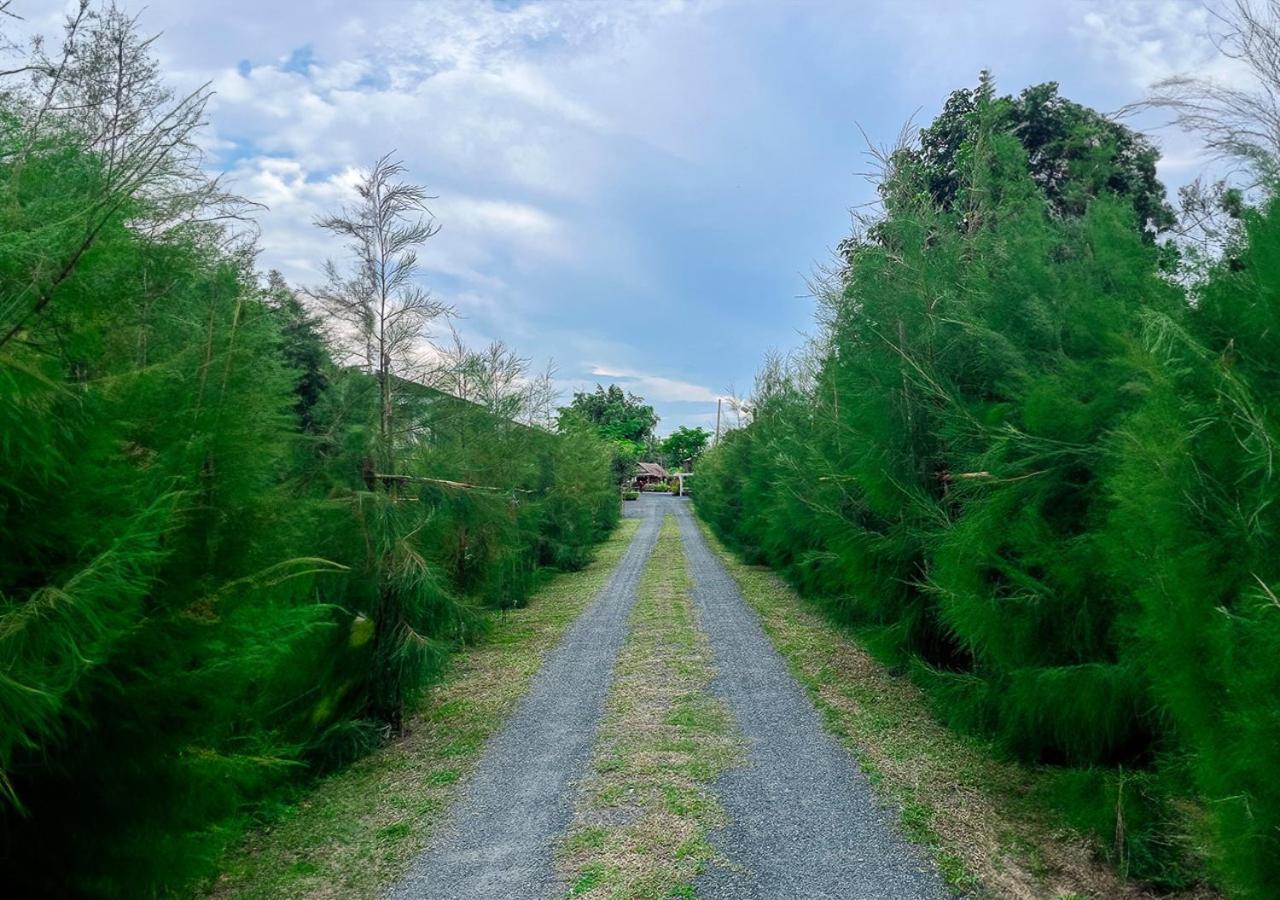 North Pine Forest Homestay บ้านไม้สนโฮมสเตย์ Ban Mae Pong Exteriör bild