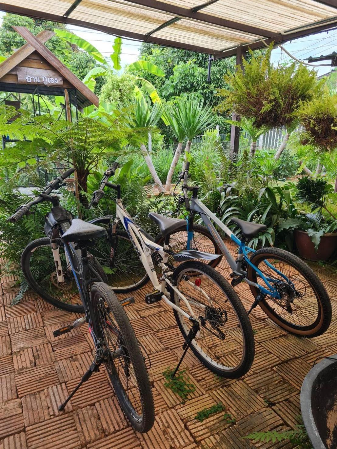 North Pine Forest Homestay บ้านไม้สนโฮมสเตย์ Ban Mae Pong Exteriör bild